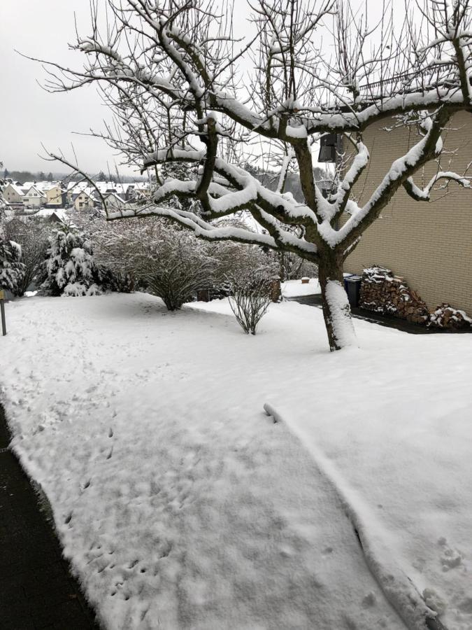 Ferienwohnung Brigitta Altenbeken Eksteriør billede